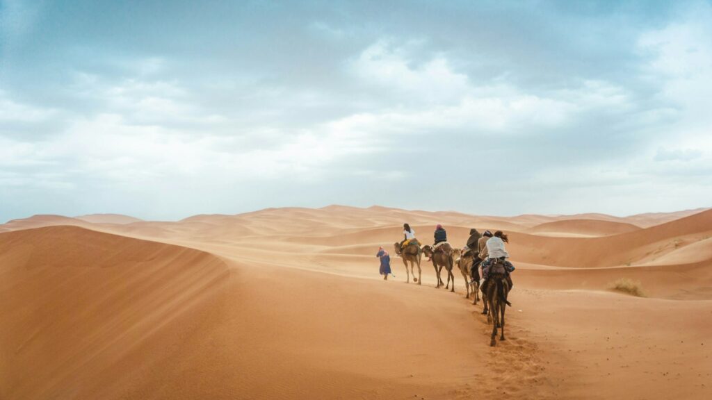 Caravane de dromadaires guidée dans les dunes